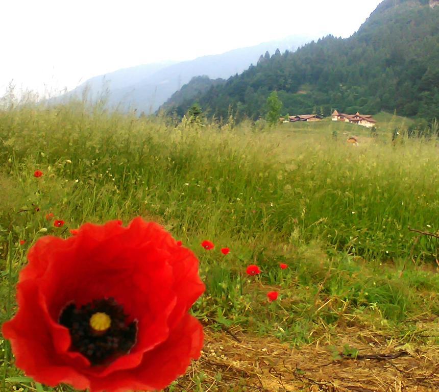 Agritur Cornasest Bed & Breakfast Breguzzo Luaran gambar